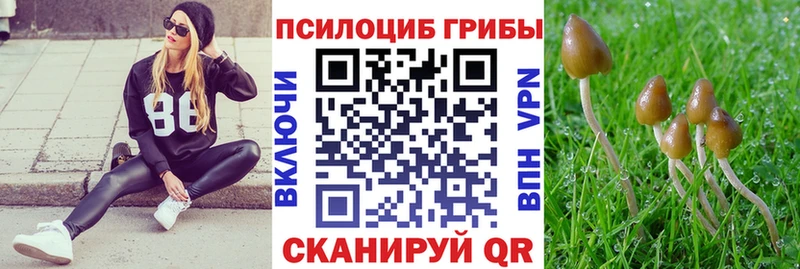 Псилоцибиновые грибы мицелий  Ильский 