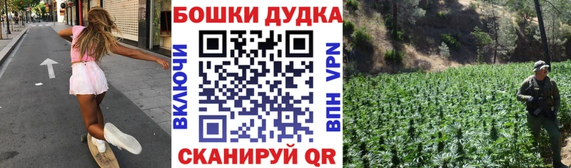 Бошки Шишки сатива  Ильский 